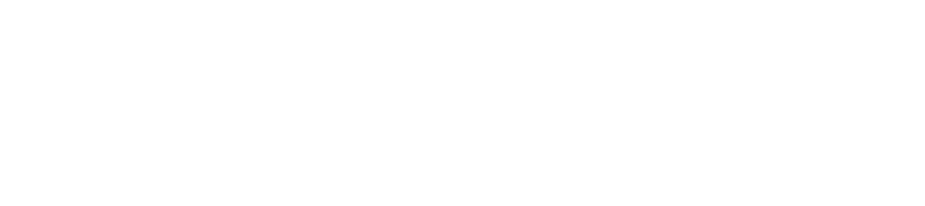 Geminivision
